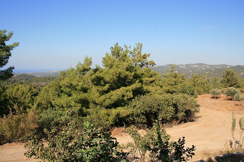 Rodos 2007 806